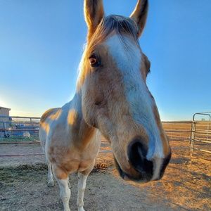 Meet your Posher, Riley mackenzie